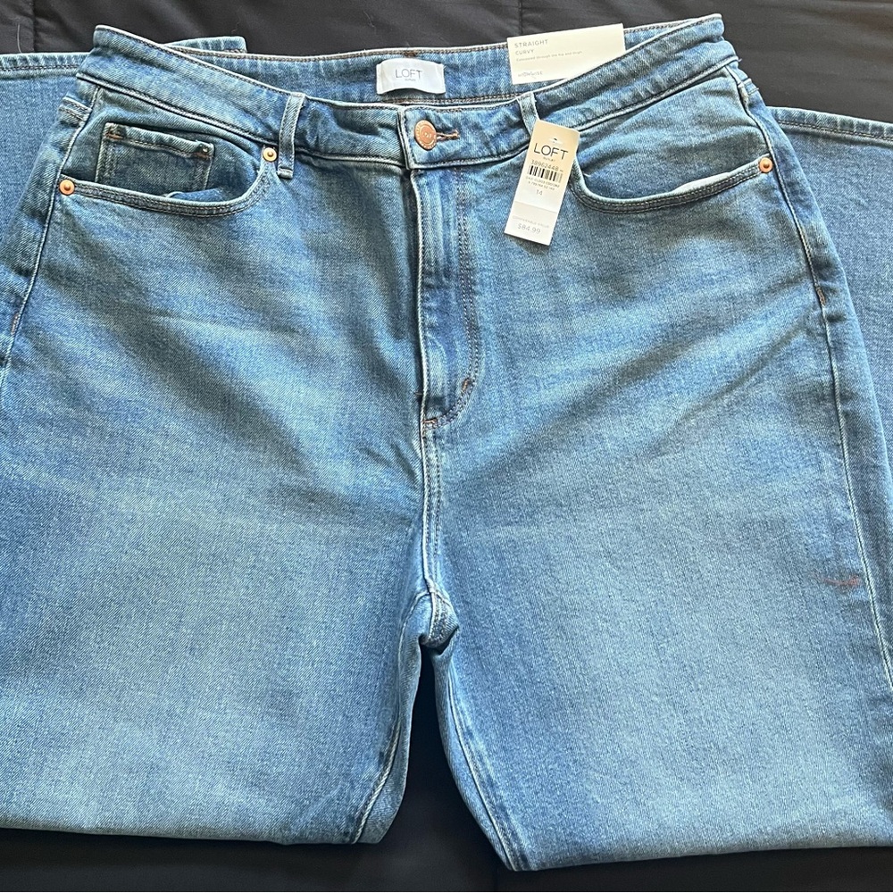 LOFT Light Blue Denim Pants